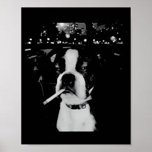 Poster Mème drôle de chien qui fume
