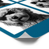 Poster Mème drôle de Goldendoodle Photobooth de Doodle mi (Coin)