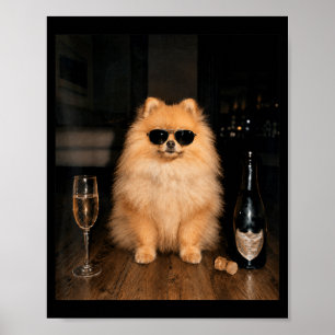 Poster Mème drôle de Pomeranian buvant du Champagne