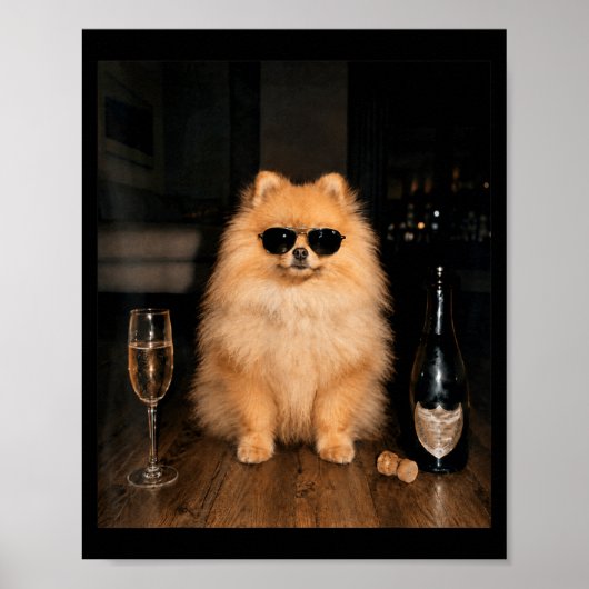 Poster Mème drôle de Pomeranian buvant du Champagne (Devant)