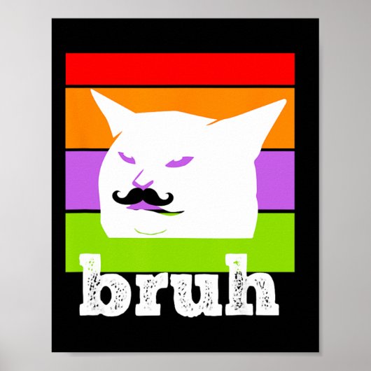 Poster Mème Drôle Dit Bruh Avec Cat-cinco De Mayo-mexi (Devant)