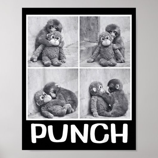 Poster Mème du bébé singe qui frappe (Devant)