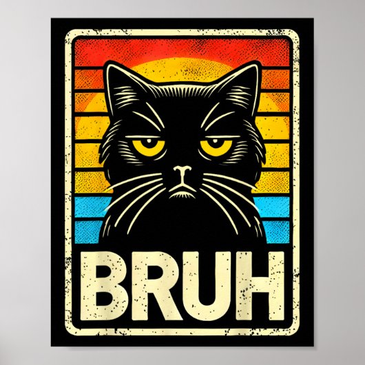 Poster Mème Graphique Drôle Cat Bruh Pour Garçons Filles (Devant)