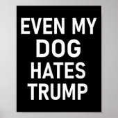 Poster Même Mon Chien déteste Trump, libéral, anti-conser (Devant)
