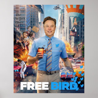 Poster MEME OISEAU GRATUITE - Elon, Twitter, Oiseau gratu