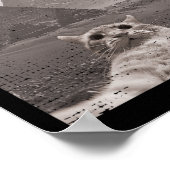 Poster Mème Ufo Chat - Selfie Chat Drôle Avec Ufos (Coin)