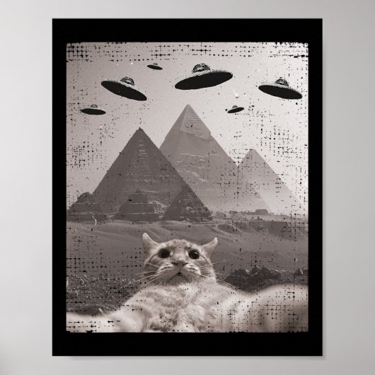 Poster Mème Ufo Chat - Selfie Chat Drôle Avec Ufos (Devant)