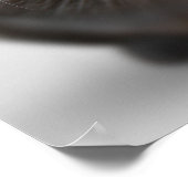 Poster Mèmes animaux amusants Mèmes chats Mèmes photos hu (Coin)