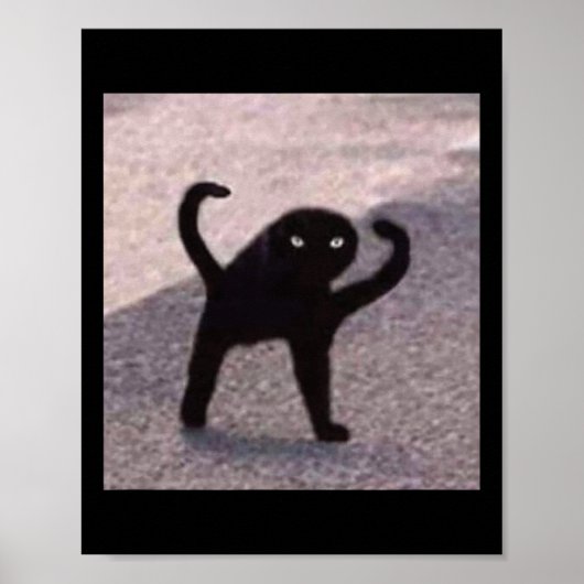 Poster Mèmes de chat maudit Chat maudit Colère de chat co (Devant)