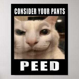 Poster Mèmes de chats stupides amusants par 919 Designs C