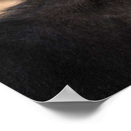 Poster Mèmes de Singe Ape Chimp drôle avec des paroles am (Coin)