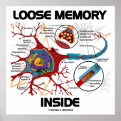 Poster Mémoire perdue à l'intérieur (Neuron / Synapse) (Devant)