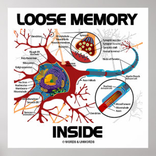 Poster Mémoire perdue à l'intérieur (Neuron / Synapse)