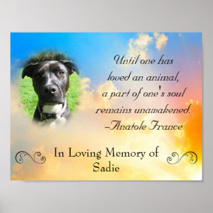 Cadeaux Citation De Perte D Animal Familier Zazzle Be