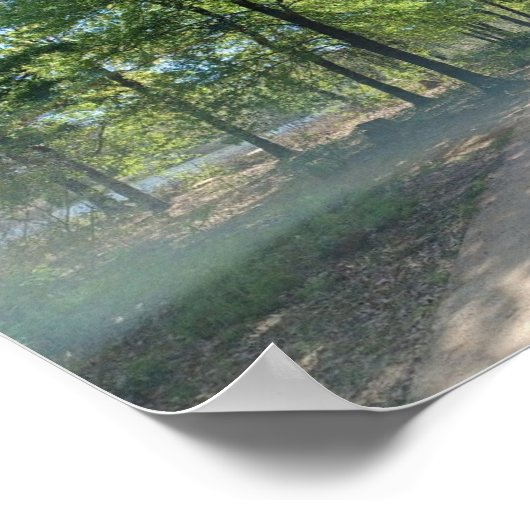 Poster Memorial Park Houston (Coin)