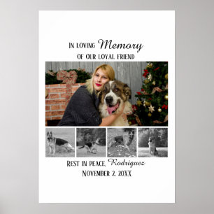 Poster Mémorial pour chien 5 Montage photo Hommage à l'an
