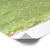 Poster Mémorial POW-MIA (Coin)