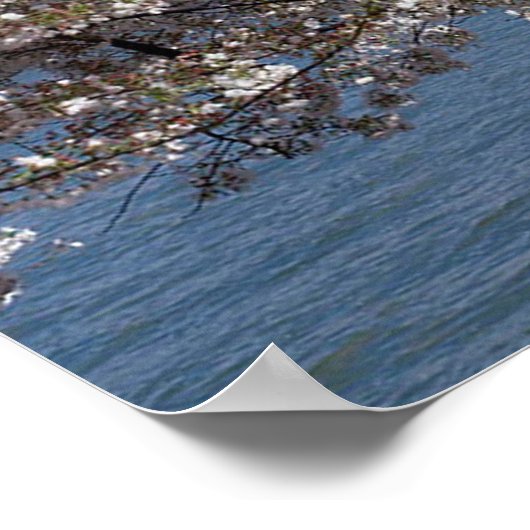 Poster Mémorial Thomas Jefferson avec des fleurs de ceris (Coin)