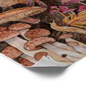 Poster Ménagerie de champignons (Coin)