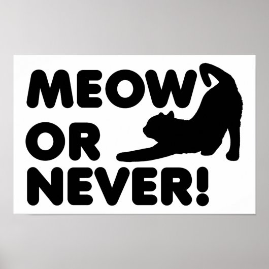 Poster Meow or Never Funny (Devant)