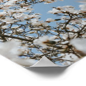 Poster mer à fleurs blanches (Coin)