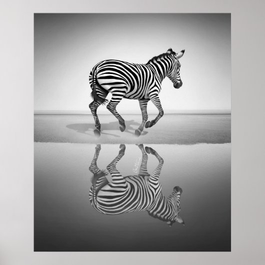 Poster Mer de la liberté (Devant)