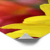 Poster Mer des Tulipes (Coin)