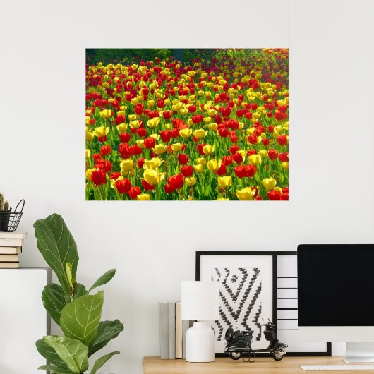 Poster Mer des Tulipes (Bureau à domicile)
