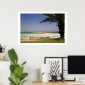 Poster Mer morte (Bureau à domicile)