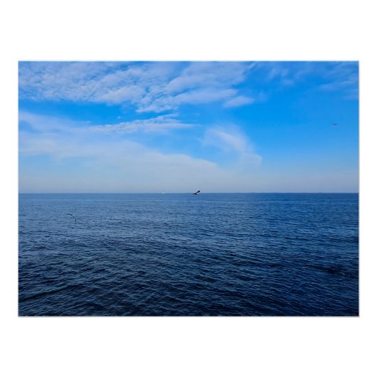 Poster Mer Noire calme Roumanie – Impression de mouettes (Devant)