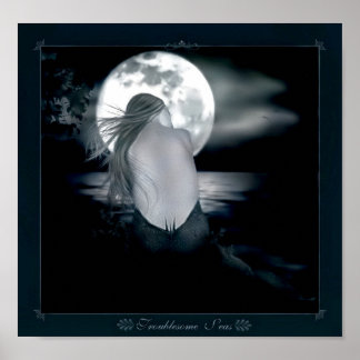 Poster Mer problématique