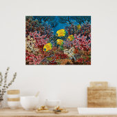 Poster Mer Rouge (Cuisine)