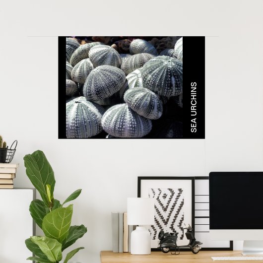 POSTER MER URCHINE (Bureau à domicile)