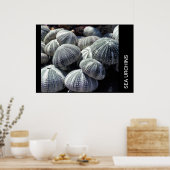 POSTER MER URCHINE (Cuisine)