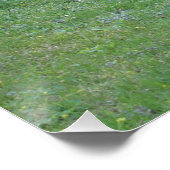 Poster Mercedes 280SE W108 (Coin)