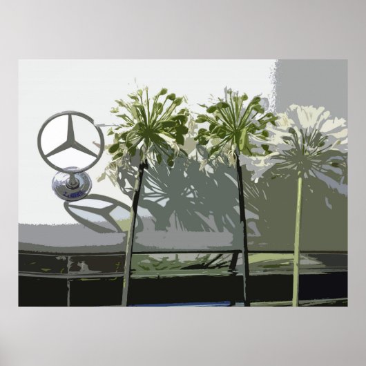 POSTER MERCEDES & AGAPANTHUS (Devant)