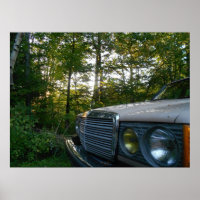 Poster Mercedes W123