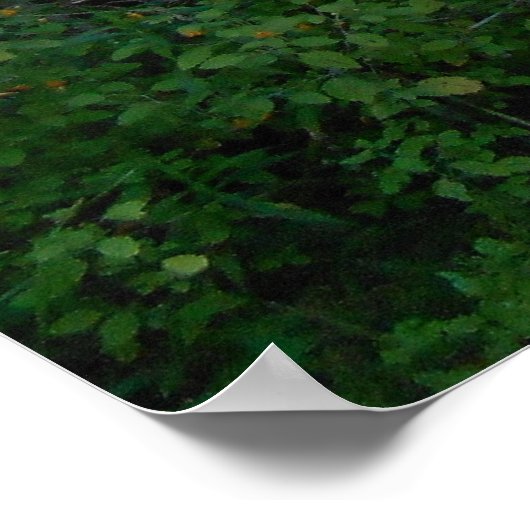 Poster Mercedes W123 (Coin)