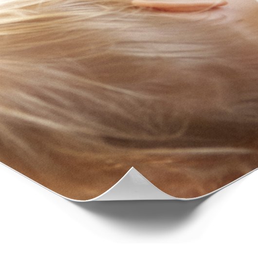 Poster Mère allaitant son enfant (Coin)