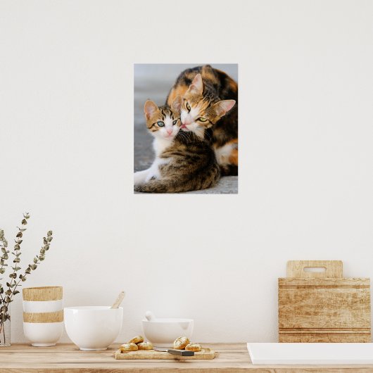 Poster Mère chat adore chaton mignon (Cuisine)