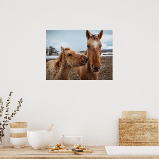 Poster Mère Cheval et poulain (Cuisine)