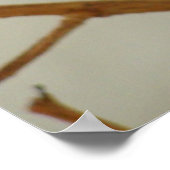 Poster Mère Colibri - Imprimer/Poster (Coin)