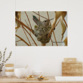 Poster Mère Colibri - Imprimer/Poster (Cuisine)