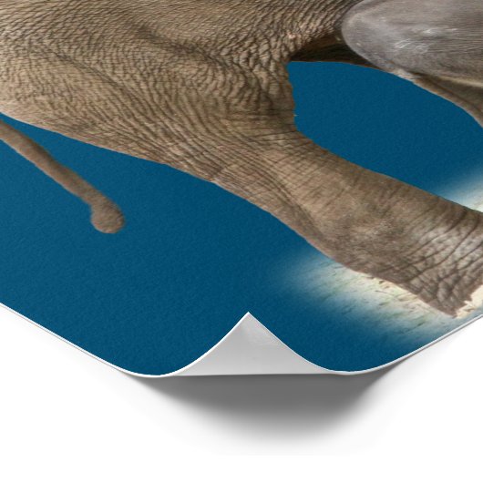 Poster Mère Eléphant et mur bébé art (Coin)