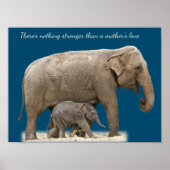 Poster Mère Eléphant et mur bébé art (Devant)