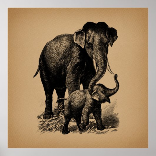 Poster Mère et bébé Eléphant Art Vintage (Devant)