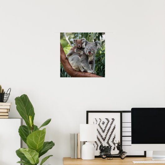 Poster Mère et bébé Ours Koala (Bureau à domicile)