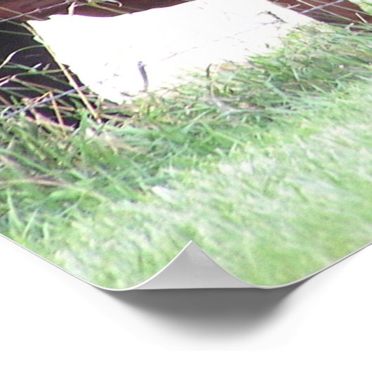 Poster Mère et enfant (Coin)