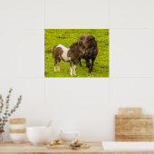Poster Mère et progéniture de poney Shetland (Cuisine)