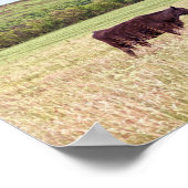 Poster Mère et veau dans les Flint Hills (Coin)